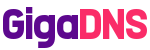 GigaDNS